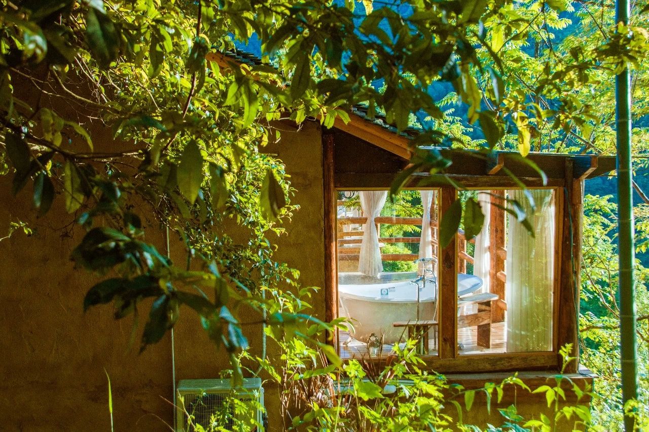 張家界·五號山谷，山谷在重生！