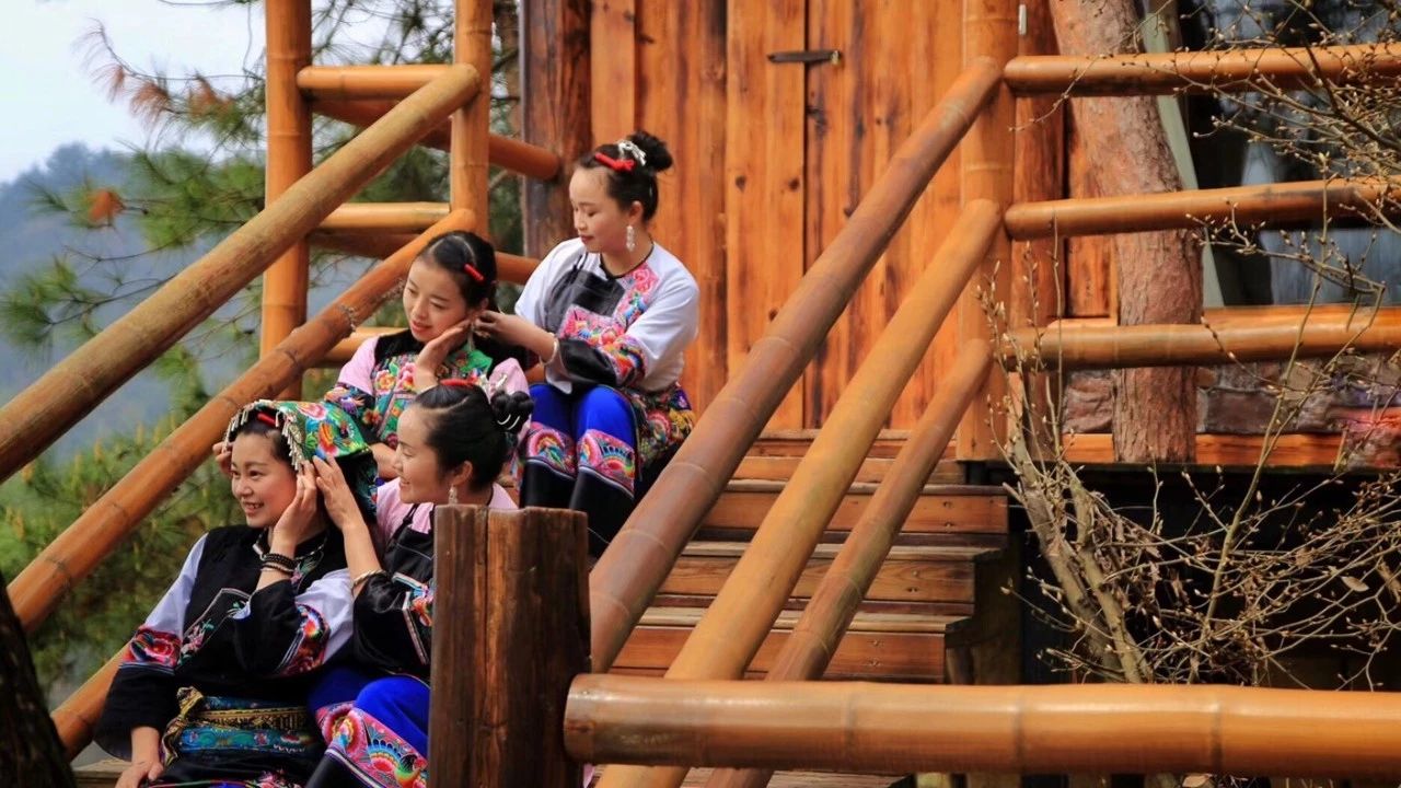 張家界·五號山谷，山谷在重生！