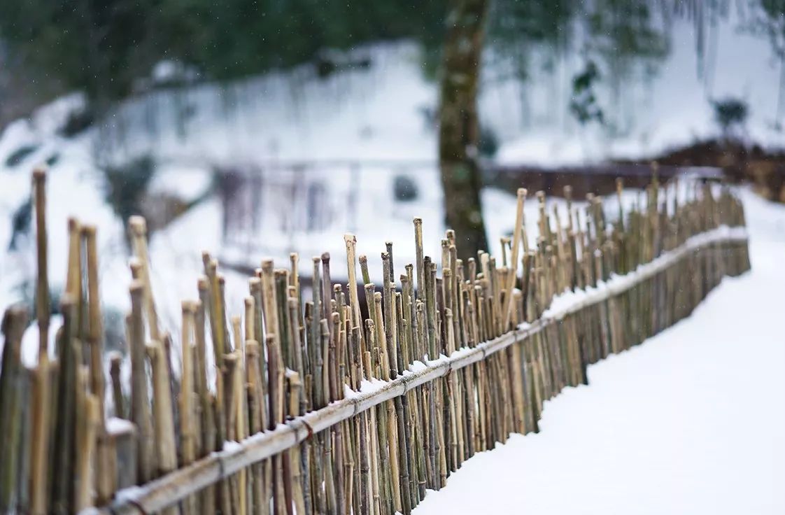 臨安·余來，讓生活重啟