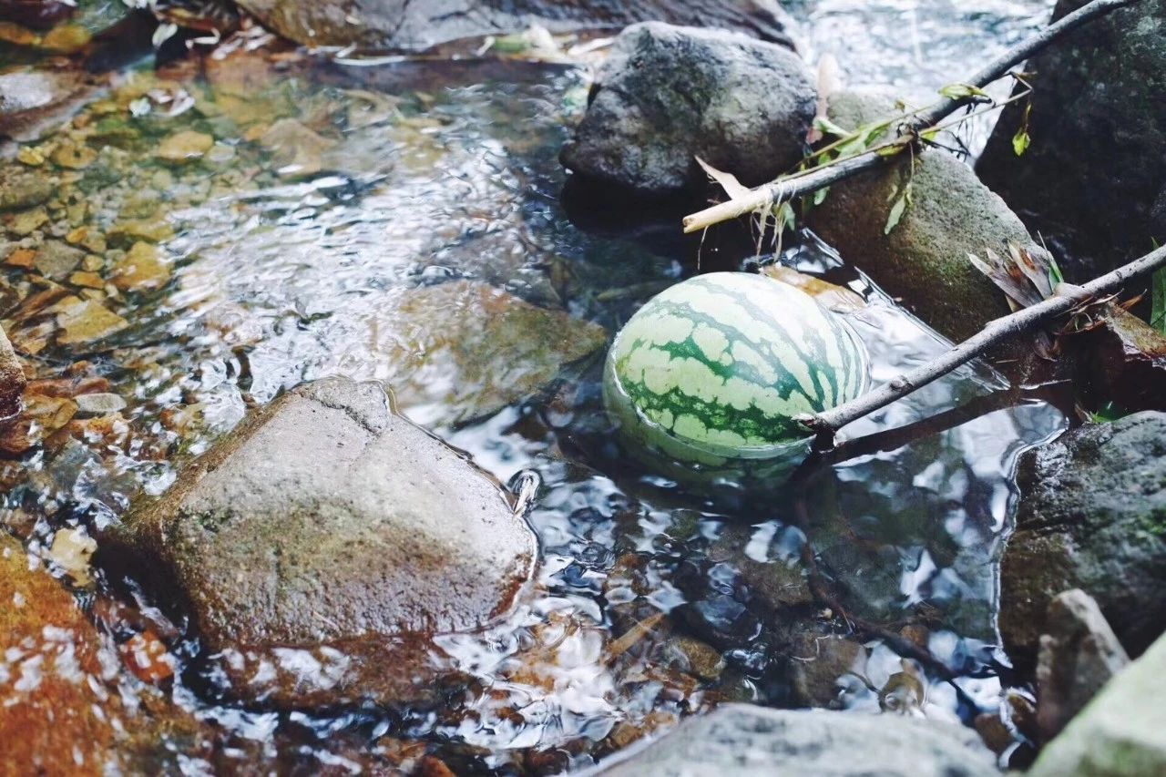 臨安·余來，讓生活重啟