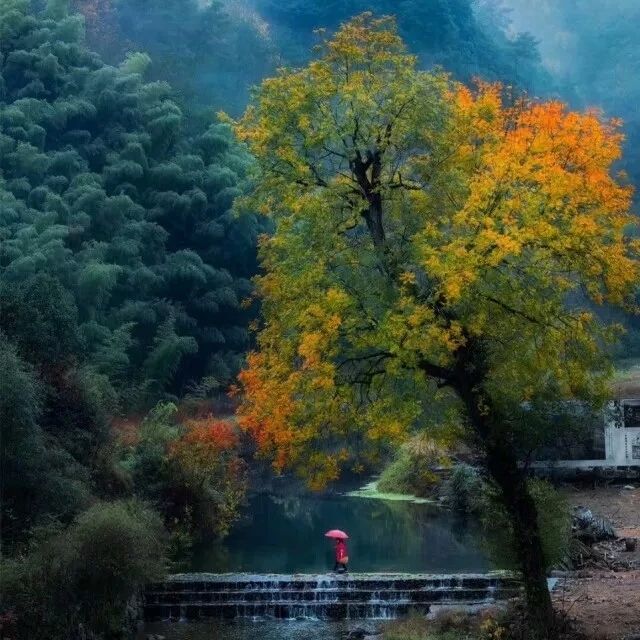 金華·村尚村宿，認(rèn)識(shí)自然尋回久違的童真