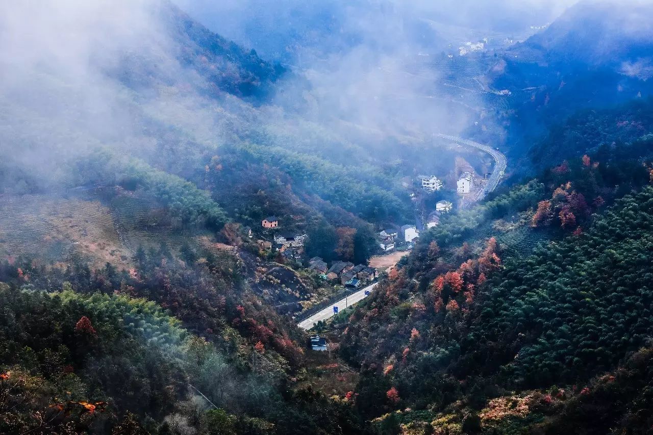 金華·村尚村宿，認(rèn)識(shí)自然尋回久違的童真