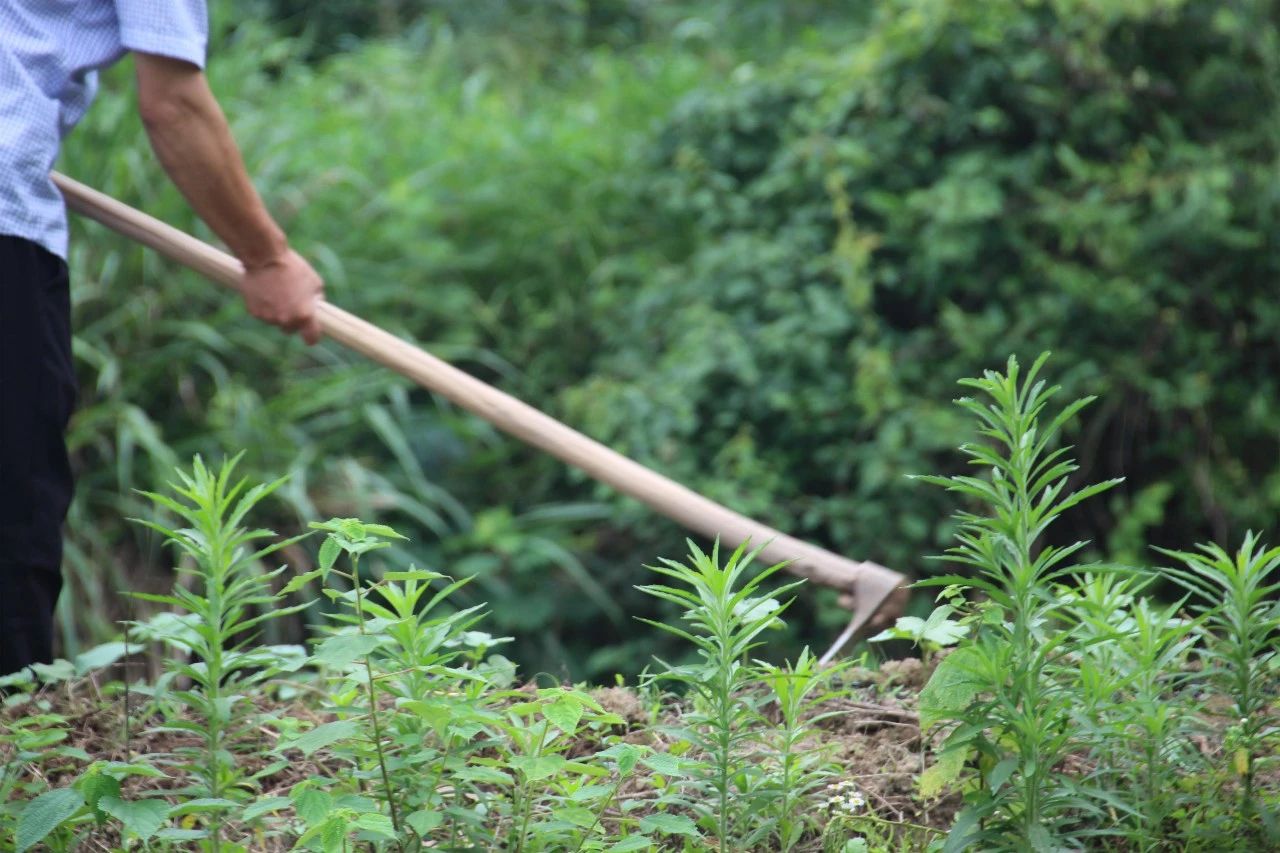金華·村尚村宿，認(rèn)識(shí)自然尋回久違的童真