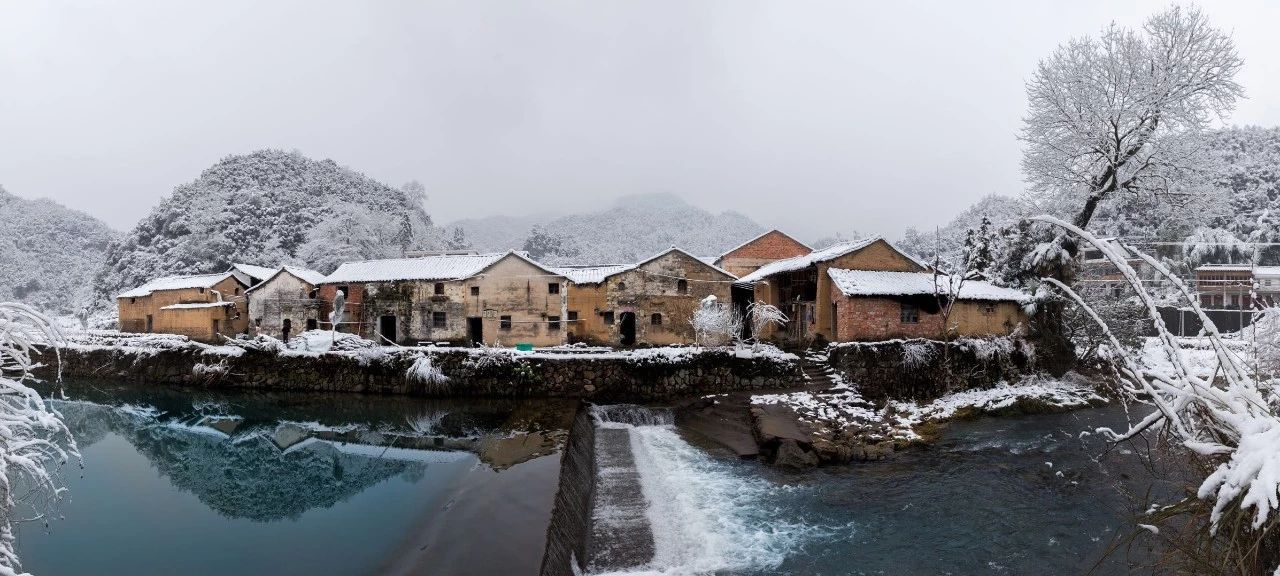 金華·村尚村宿，認(rèn)識(shí)自然尋回久違的童真