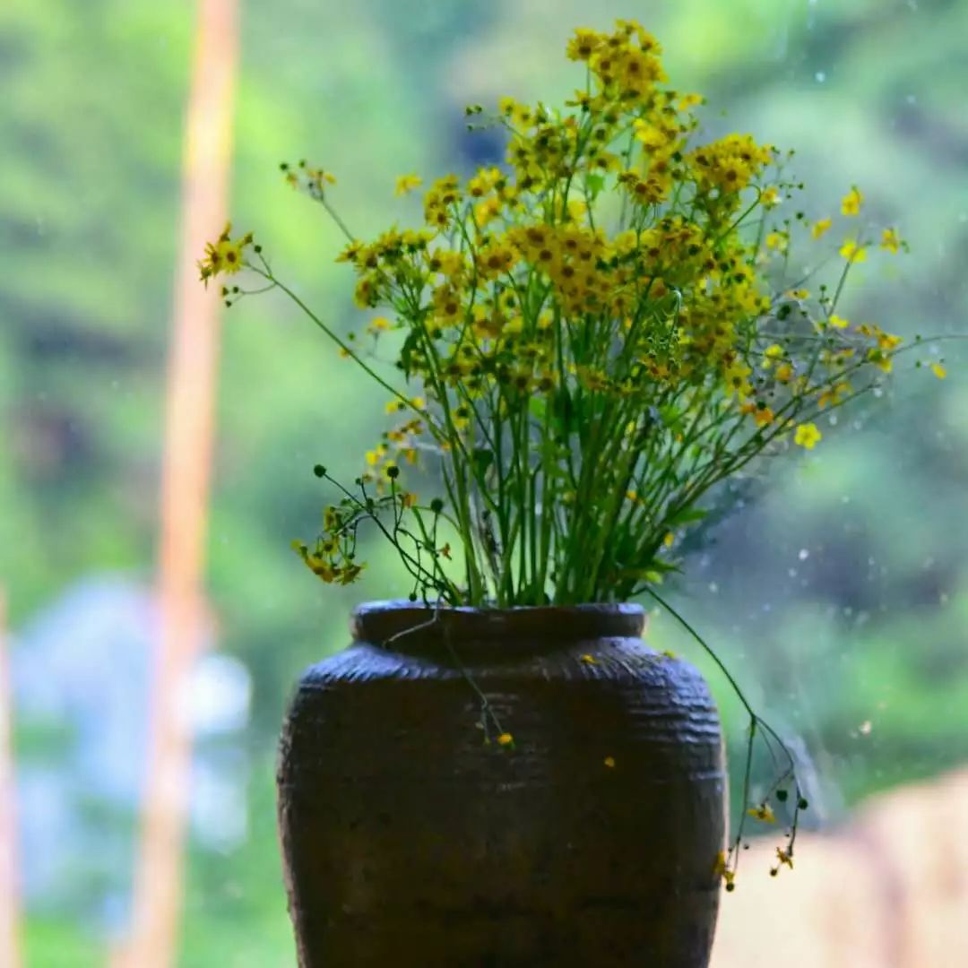 金華·村尚村宿，認(rèn)識(shí)自然尋回久違的童真