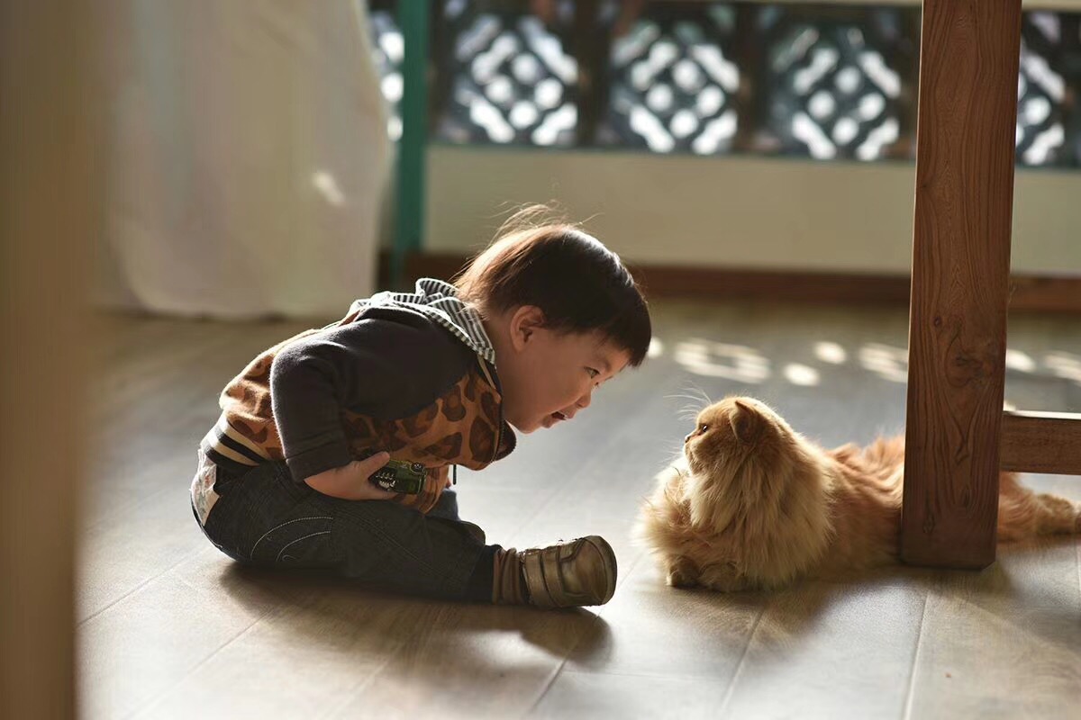 覺園1984，創(chuàng)造一個時空錯亂的夢境