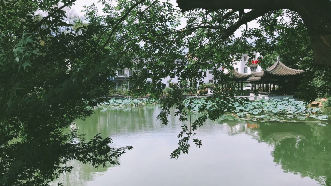 杭州·茶田秘境，有生之年盡情去折騰