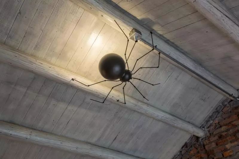 杭州·茶田秘境，有生之年盡情去折騰