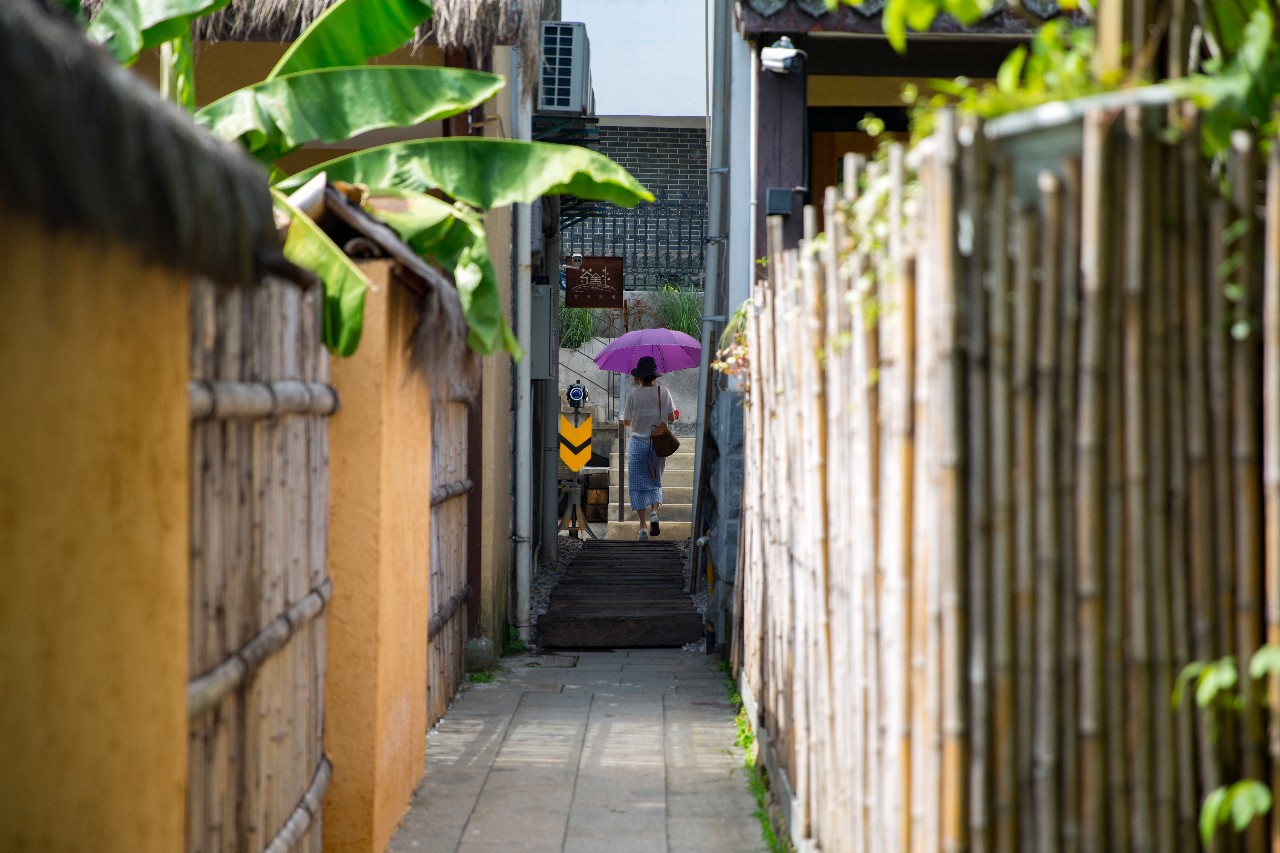 杭州·茶田秘境，有生之年盡情去折騰