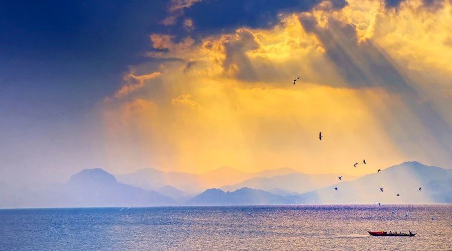 杭州·茶田秘境，有生之年盡情去折騰