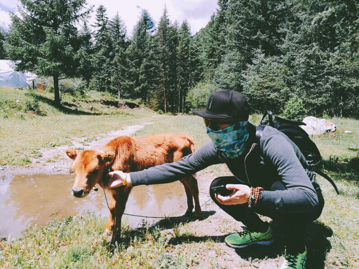 杭州·茶田秘境，有生之年盡情去折騰