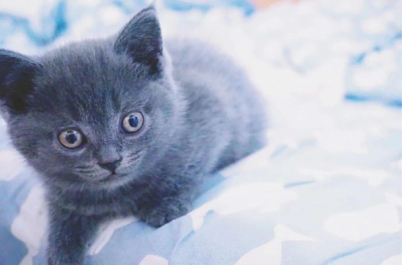 杭州·茶田秘境，有生之年盡情去折騰