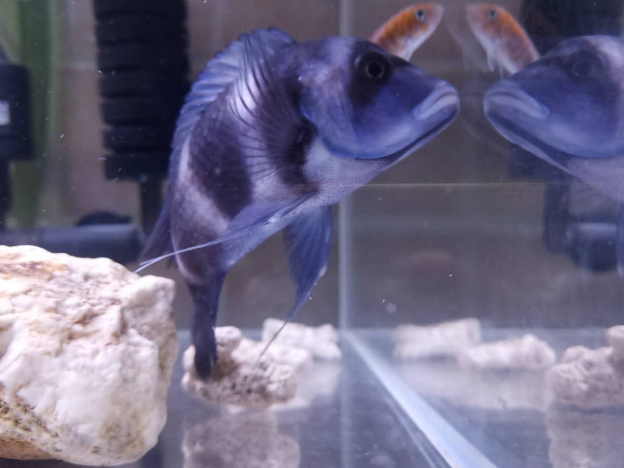 杭州·茶田秘境，有生之年盡情去折騰