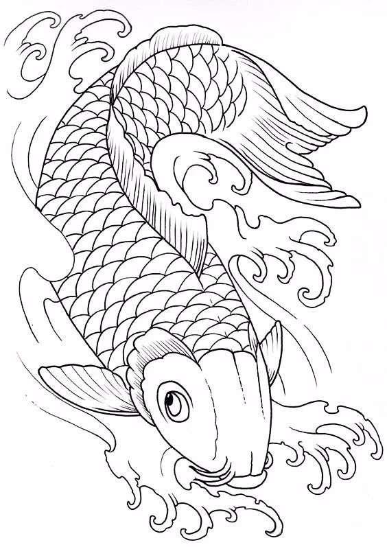 9幅白描畫(huà)《魚(yú)》：勾勒活靈活線(xiàn)的魚(yú)