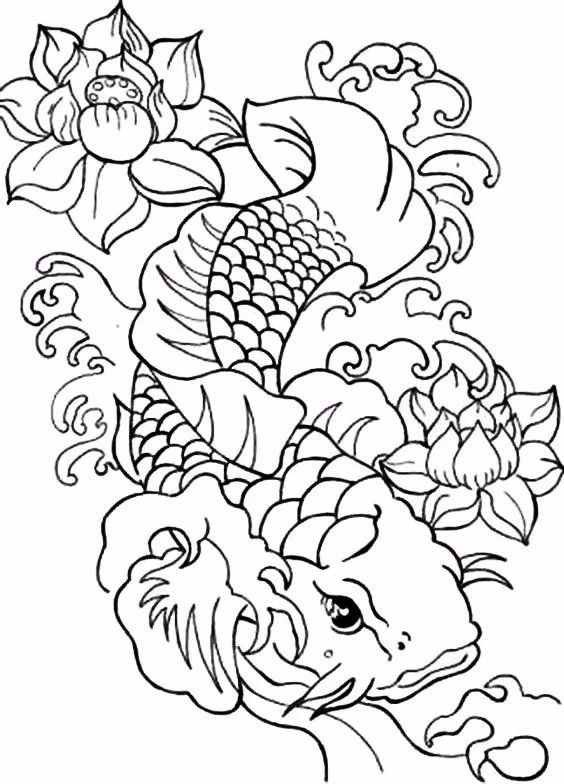 9幅白描畫(huà)《魚(yú)》：勾勒活靈活線(xiàn)的魚(yú)
