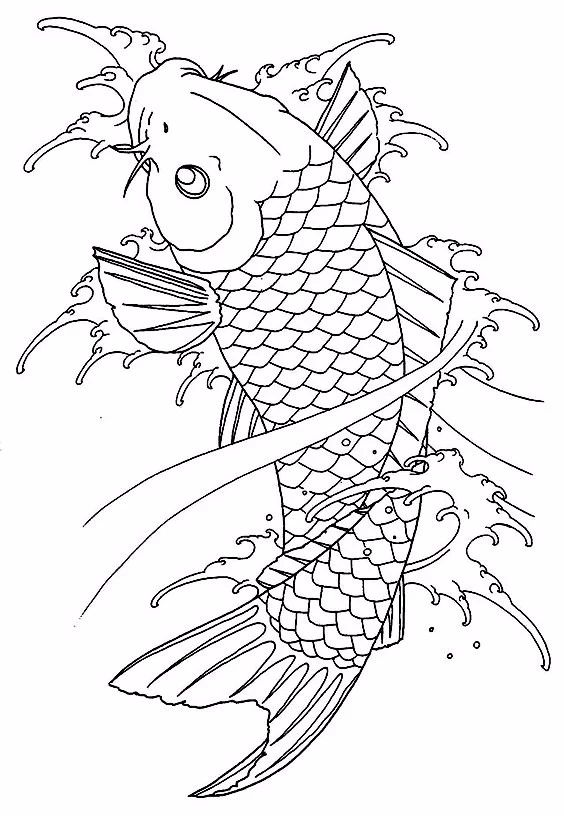 9幅白描畫(huà)《魚(yú)》：勾勒活靈活線(xiàn)的魚(yú)