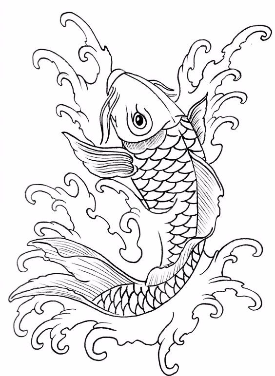9幅白描畫(huà)《魚(yú)》：勾勒活靈活線(xiàn)的魚(yú)