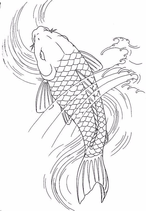 9幅白描畫(huà)《魚(yú)》：勾勒活靈活線(xiàn)的魚(yú)