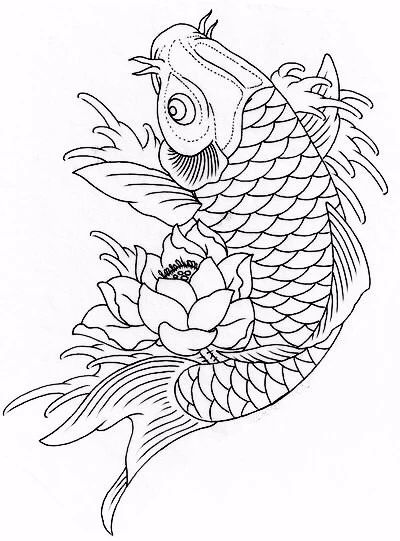 9幅白描畫(huà)《魚(yú)》：勾勒活靈活線(xiàn)的魚(yú)