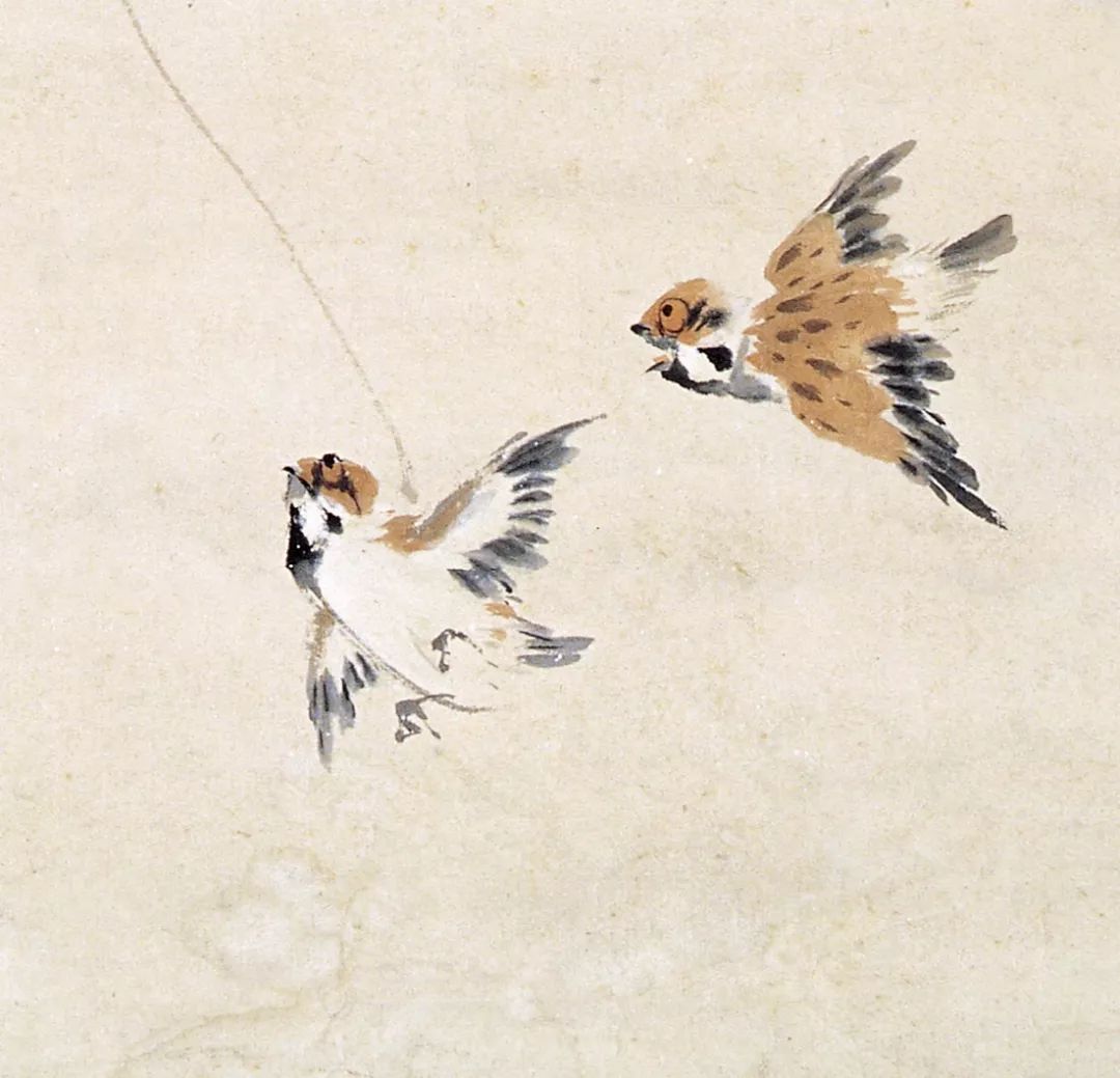 100幅禽鳥百圖，國畫鳥類美醉了！