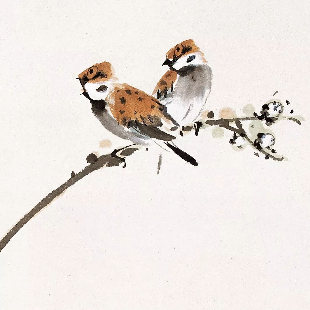 100幅禽鳥百圖，國畫鳥類美醉了！