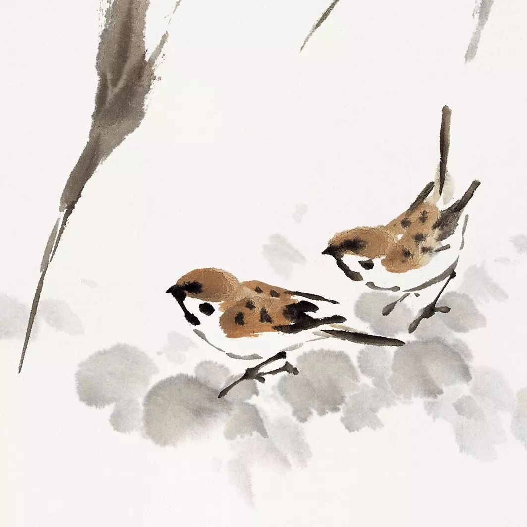 100幅禽鳥百圖，國畫鳥類美醉了！