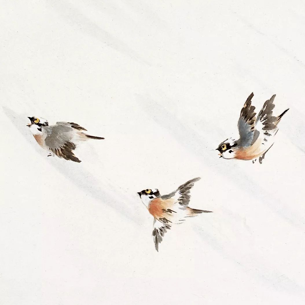 100幅禽鳥百圖，國畫鳥類美醉了！