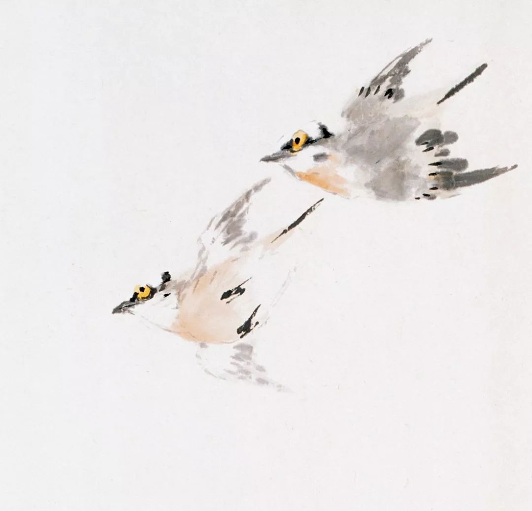 100幅禽鳥百圖，國畫鳥類美醉了！
