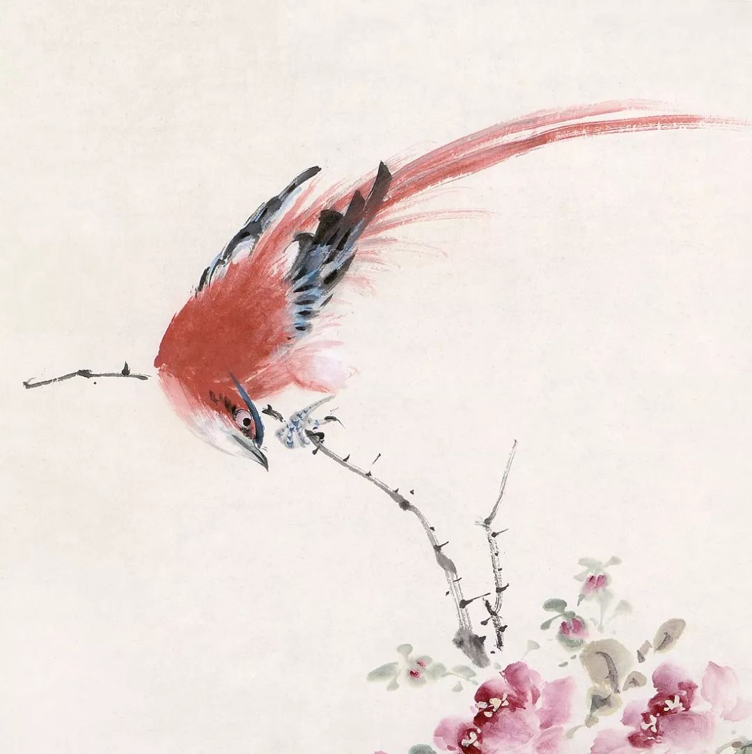 100幅禽鳥百圖，國畫鳥類美醉了！