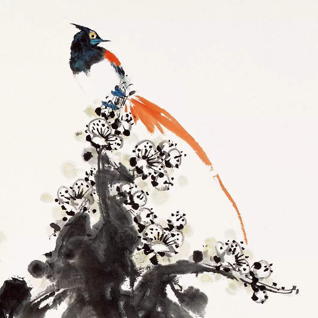 100幅禽鳥百圖，國畫鳥類美醉了！