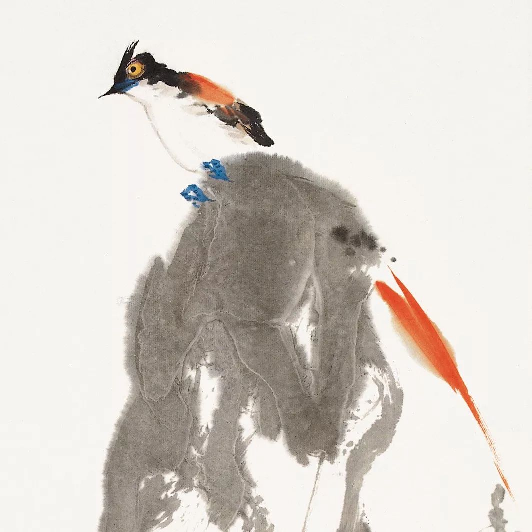 100幅禽鳥百圖，國畫鳥類美醉了！