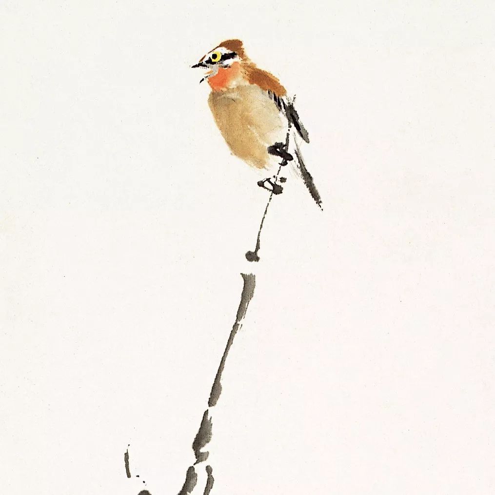 100幅禽鳥百圖，國畫鳥類美醉了！