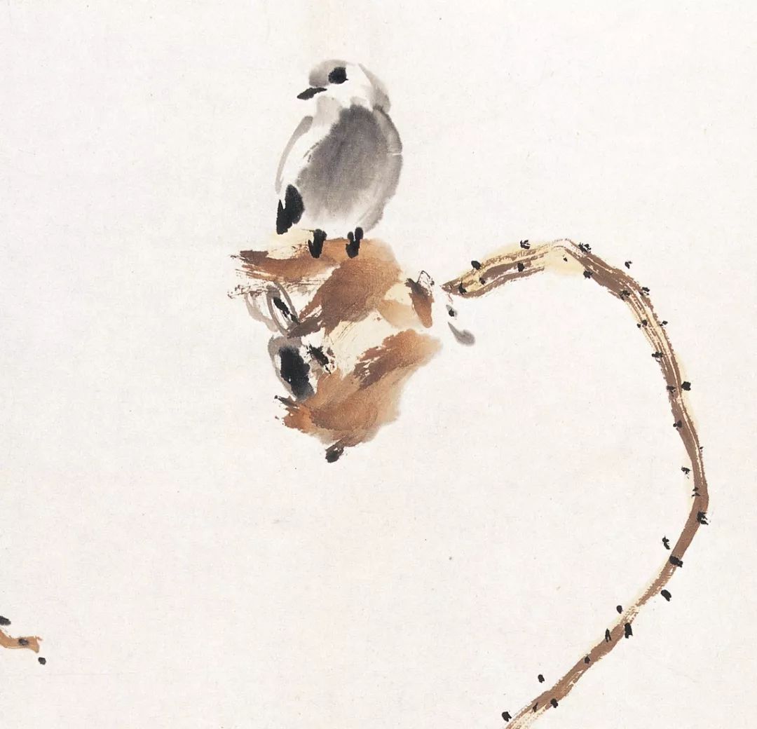 100幅禽鳥百圖，國畫鳥類美醉了！