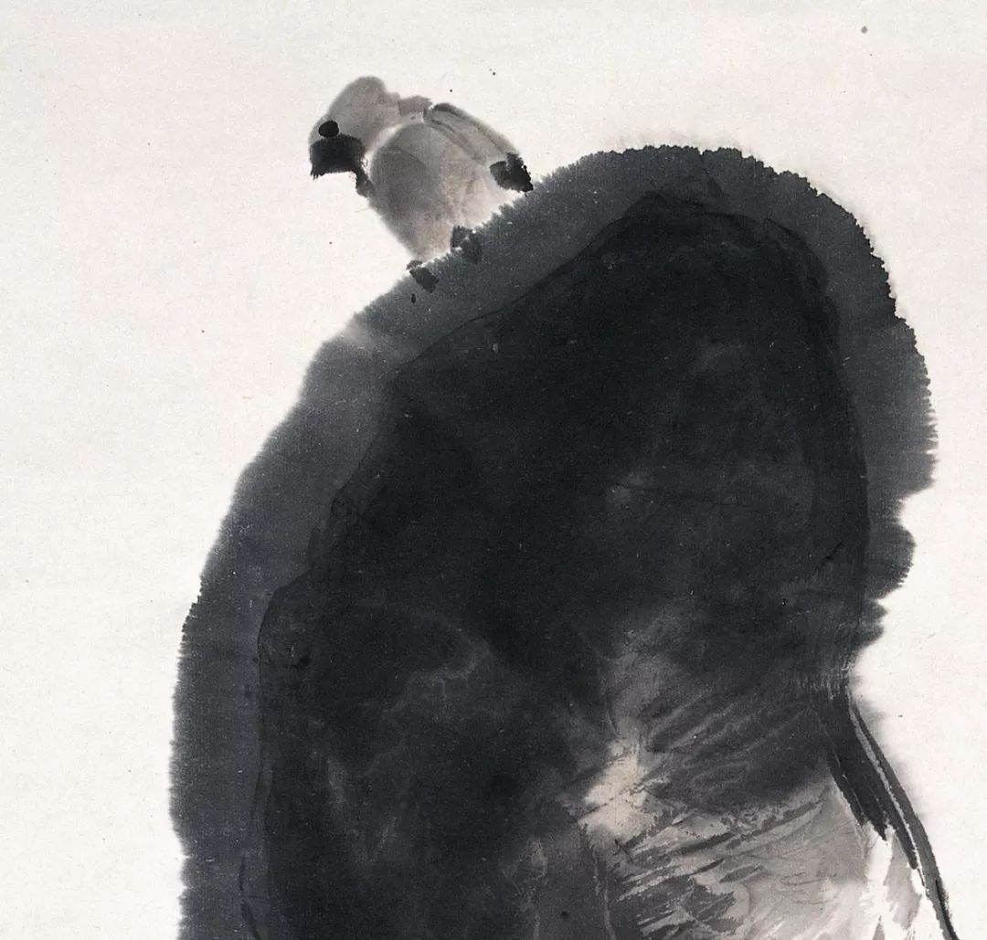 100幅禽鳥百圖，國畫鳥類美醉了！