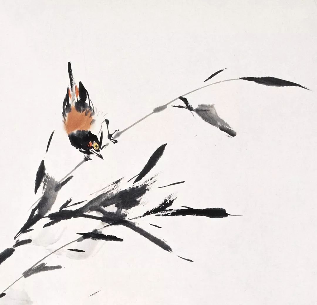 100幅禽鳥百圖，國畫鳥類美醉了！