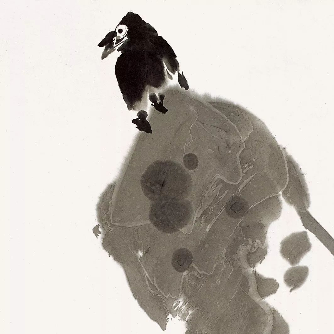 100幅禽鳥百圖，國畫鳥類美醉了！