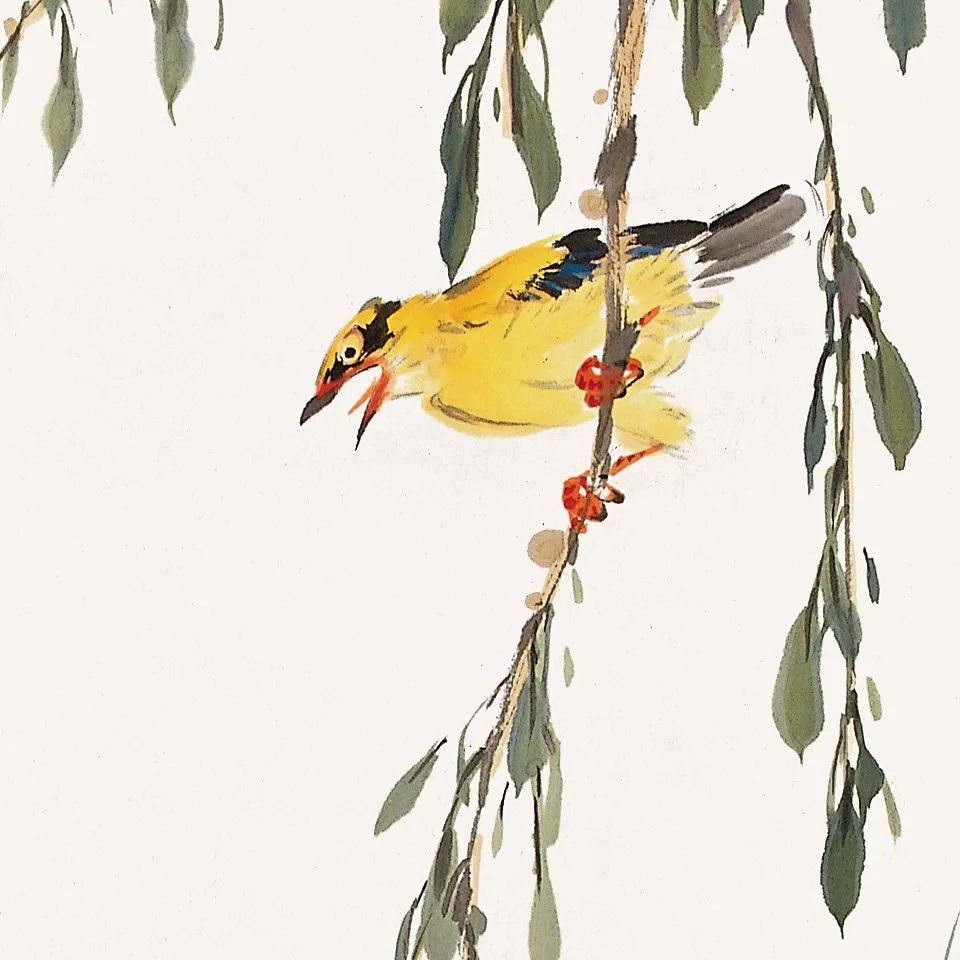 100幅禽鳥百圖，國畫鳥類美醉了！