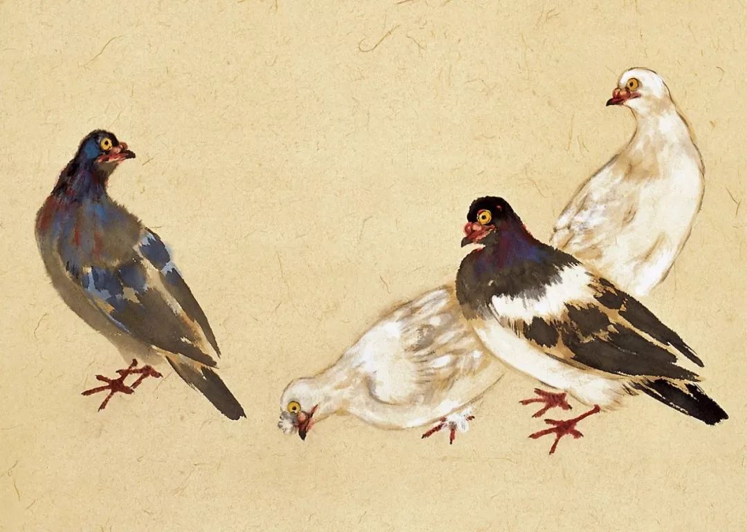 100幅禽鳥百圖，國畫鳥類美醉了！