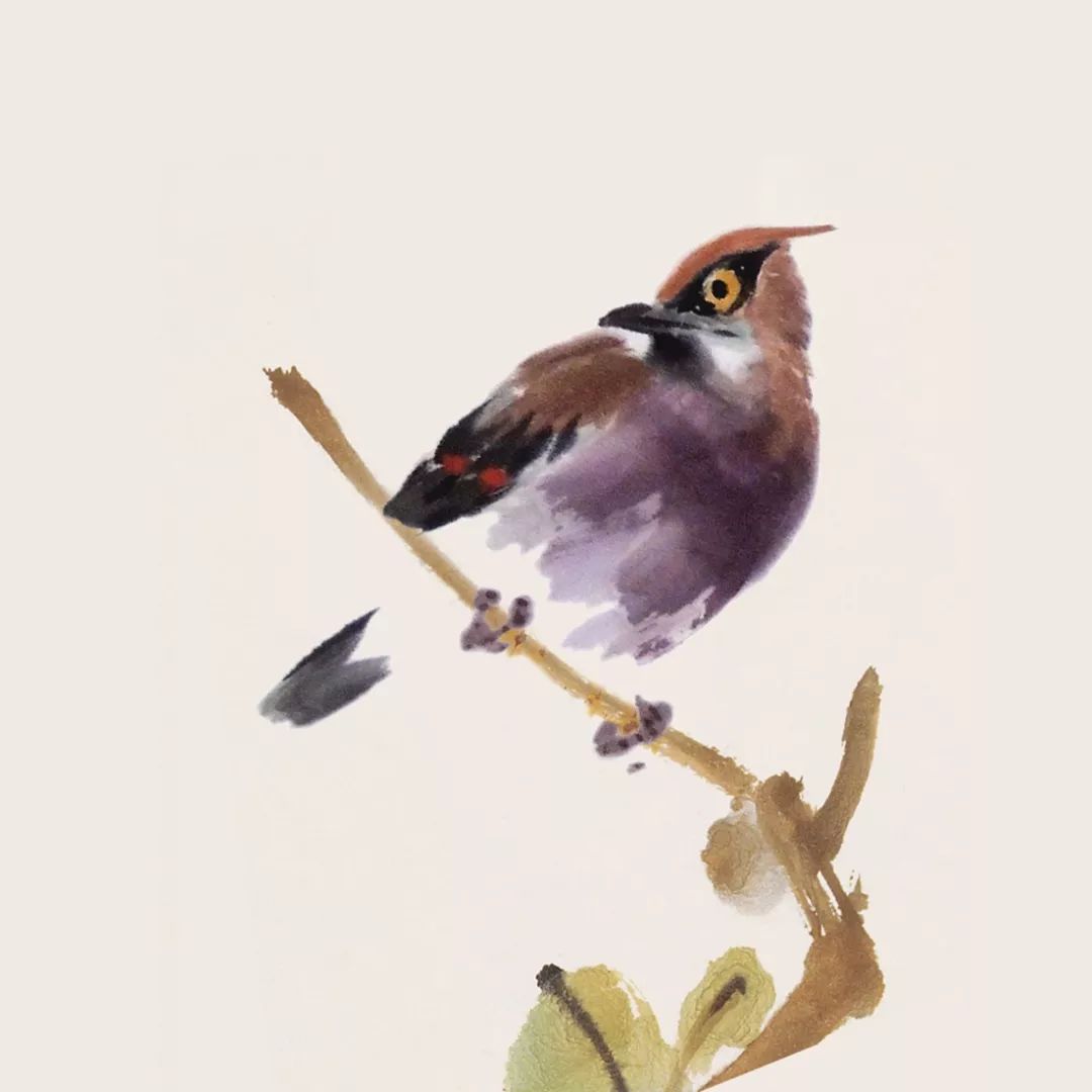 100幅禽鳥百圖，國畫鳥類美醉了！