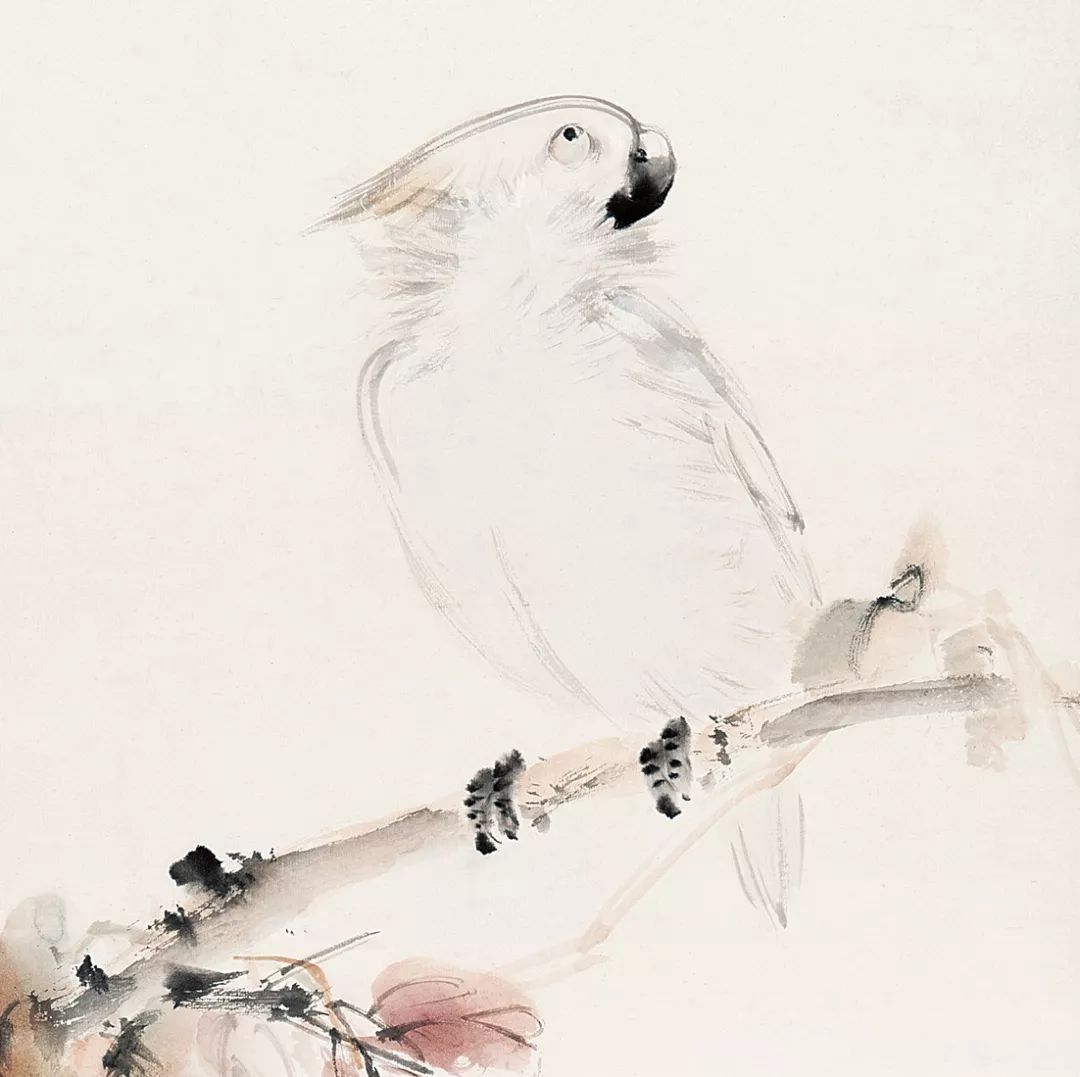 100幅禽鳥百圖，國畫鳥類美醉了！