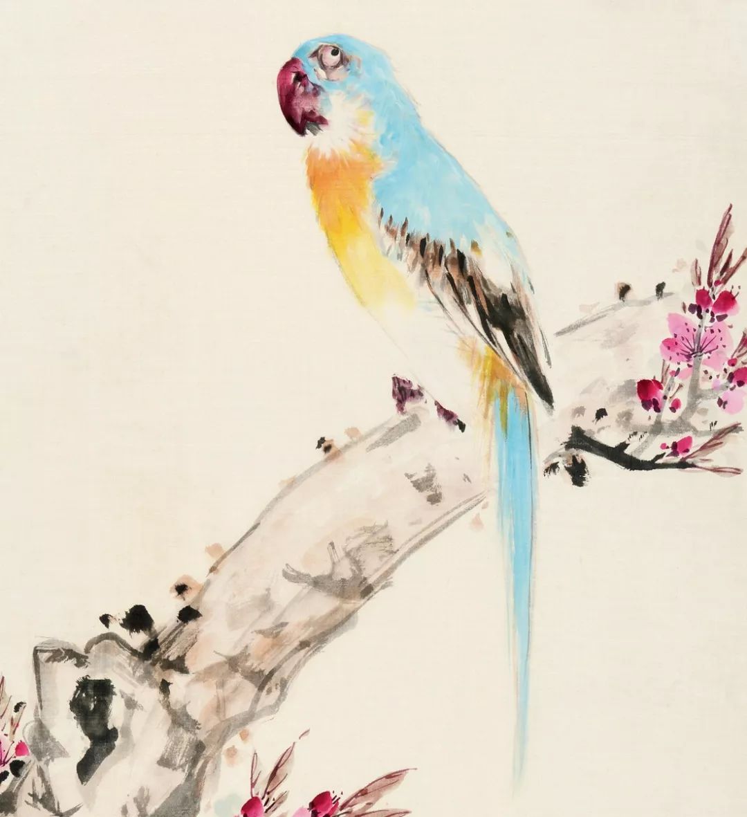 100幅禽鳥百圖，國畫鳥類美醉了！