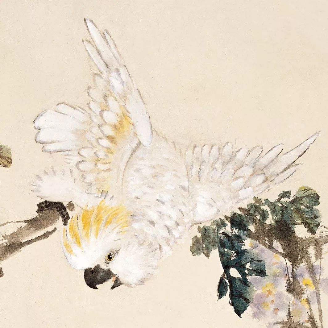 100幅禽鳥百圖，國畫鳥類美醉了！
