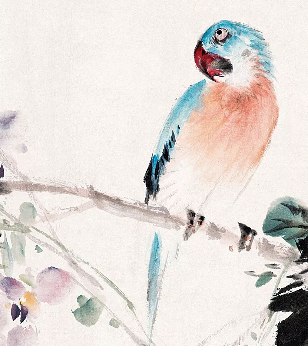 100幅禽鳥百圖，國畫鳥類美醉了！