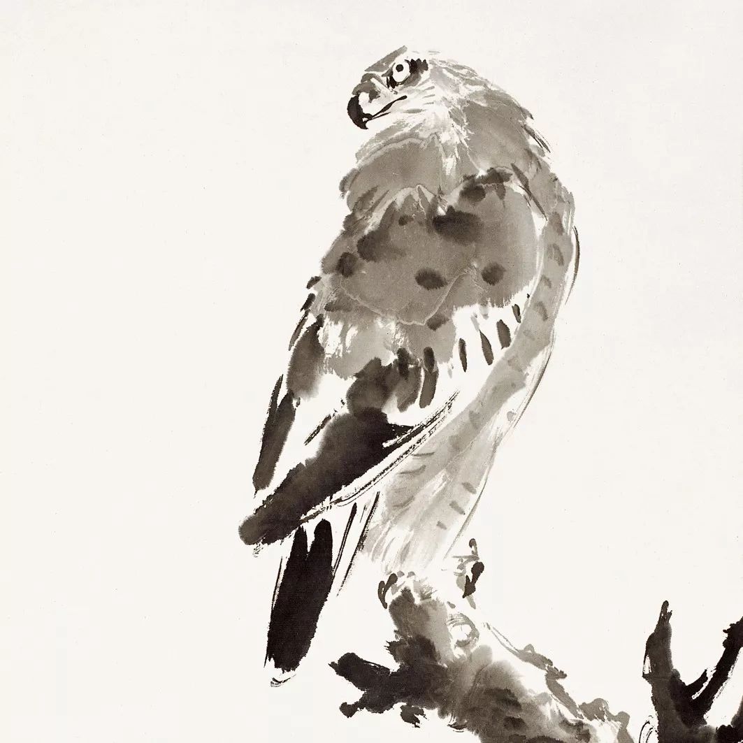 100幅禽鳥百圖，國畫鳥類美醉了！