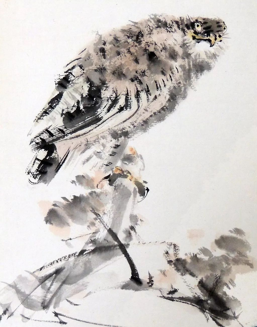 100幅禽鳥百圖，國畫鳥類美醉了！