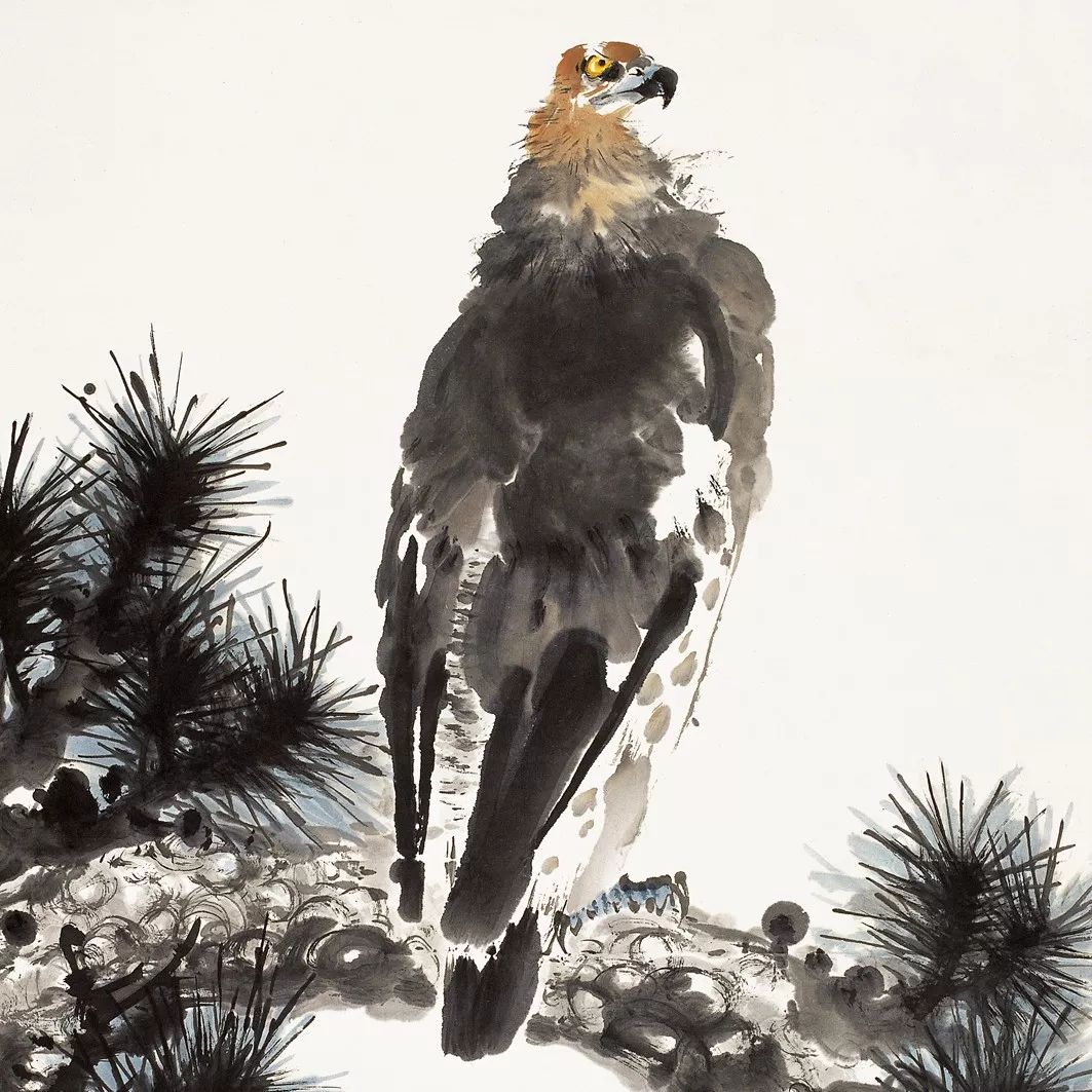 100幅禽鳥百圖，國畫鳥類美醉了！