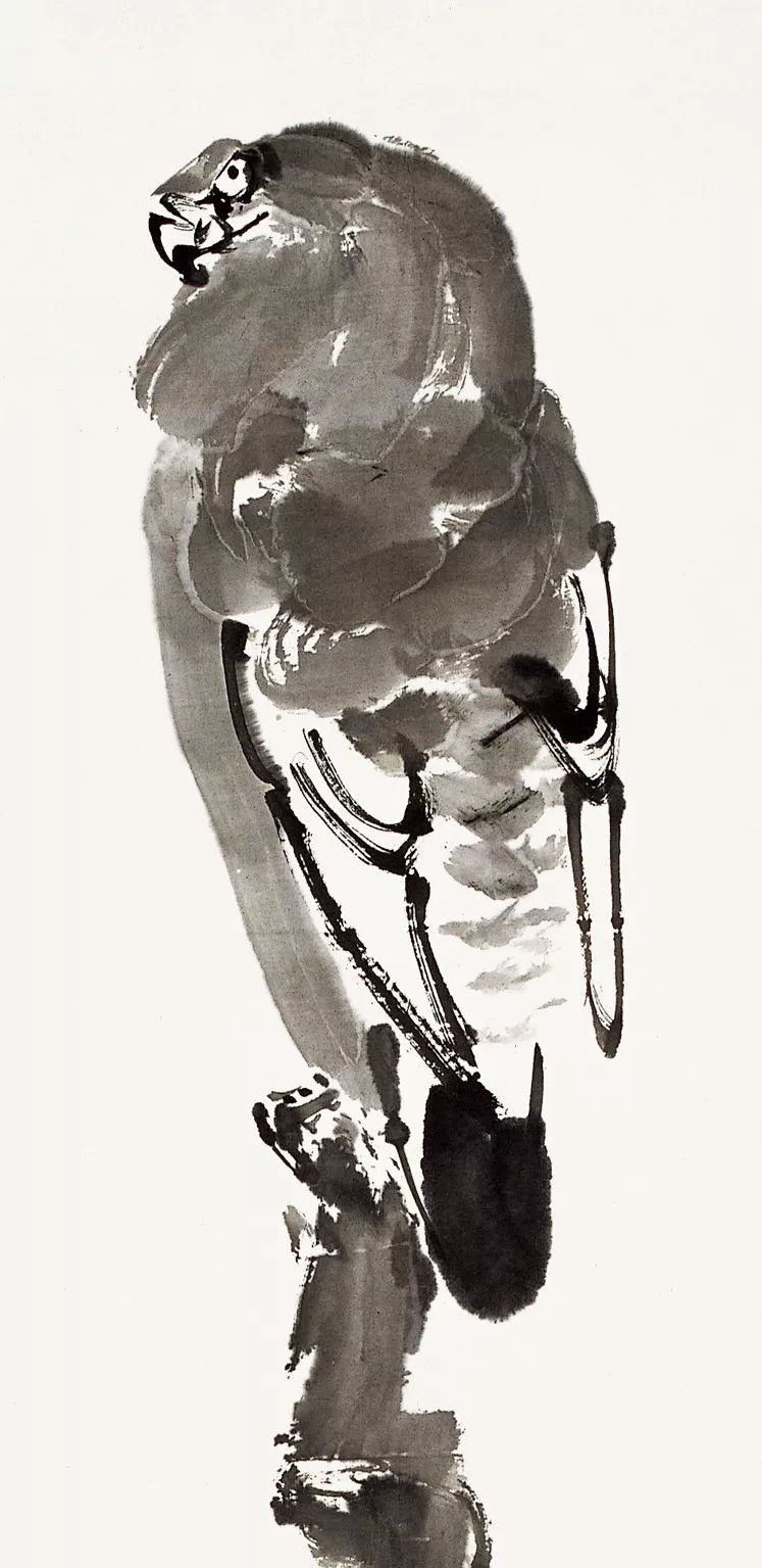 100幅禽鳥百圖，國畫鳥類美醉了！