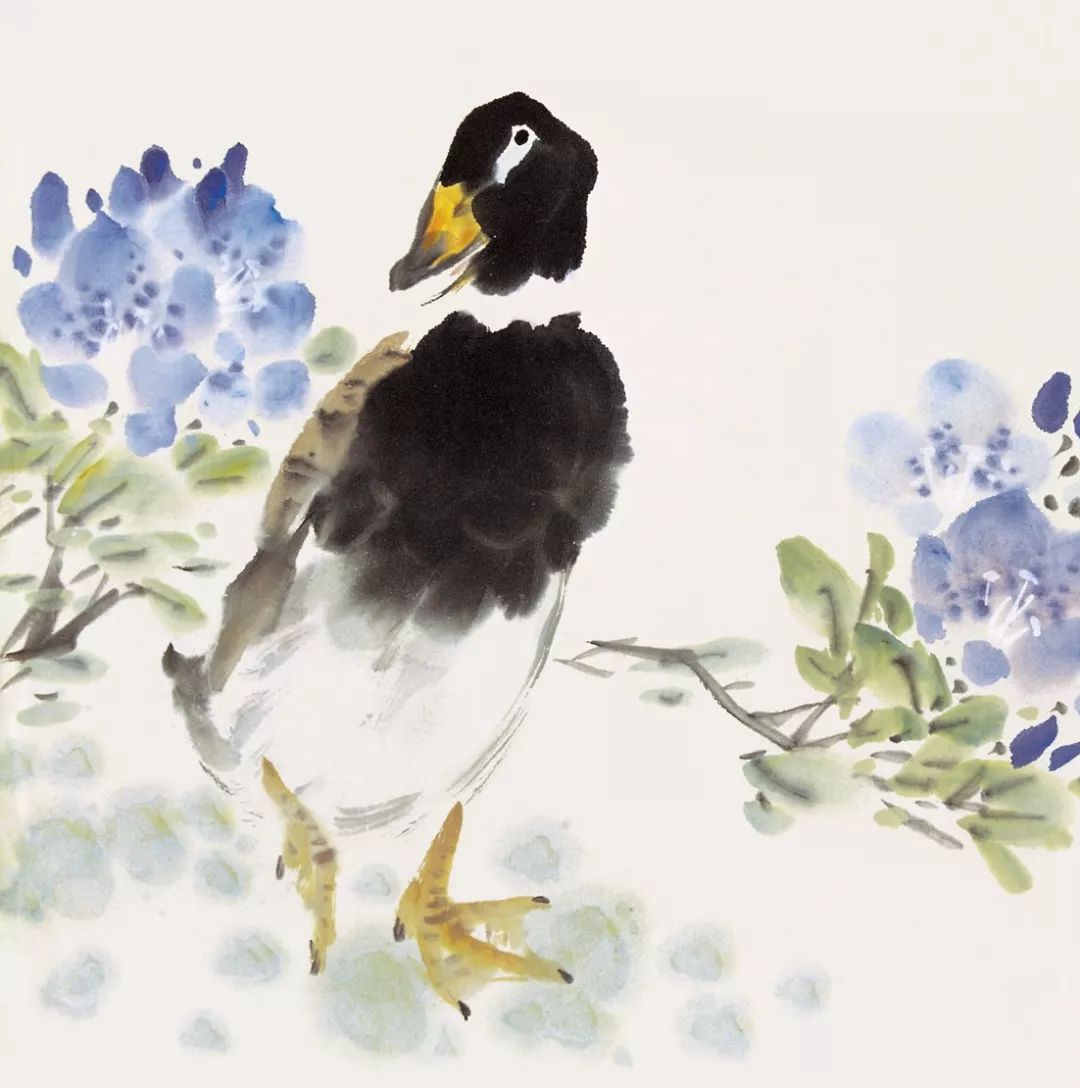 100幅禽鳥百圖，國畫鳥類美醉了！