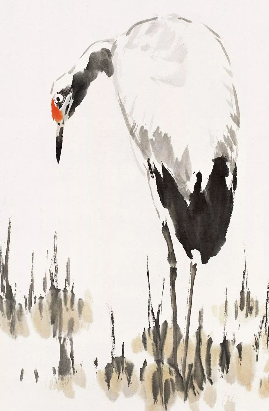 100幅禽鳥百圖，國畫鳥類美醉了！