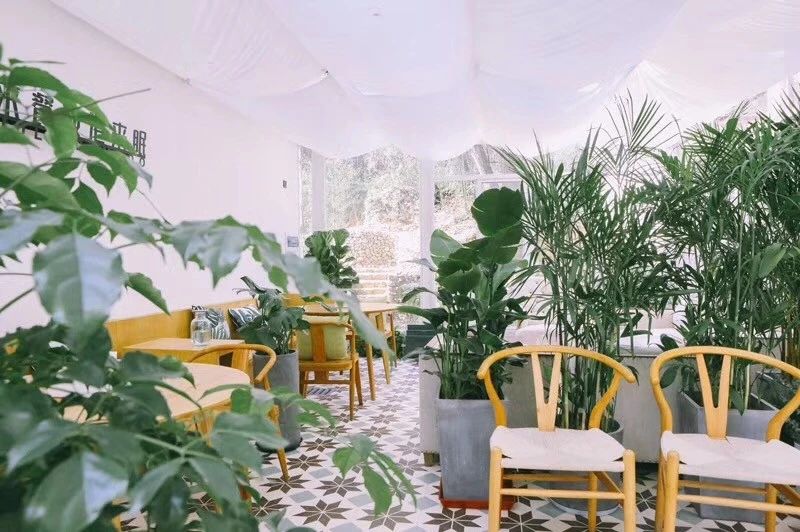 莫干山·柒竹悠南山，安靜的世外桃源